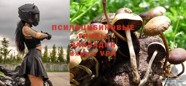 экстази Покачи