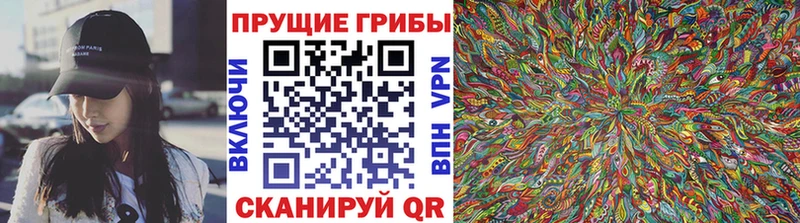 Галлюциногенные грибы GOLDEN TEACHER  Северо-Курильск 